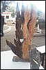 100_8646.JPG