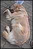 100_8673.JPG