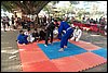 100_8815.JPG