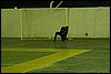 100_8981.JPG