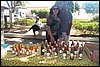 100_9153.JPG