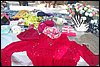 100_9184.JPG