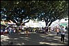 100_9224.JPG