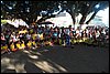 100_9245.JPG