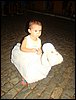 DSC01990.JPG