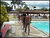 100_0455.JPG