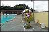 100_0486.JPG
