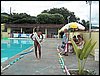 100_0501.JPG