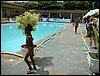 DSC01771.JPG
