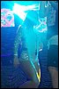 100_1038.JPG