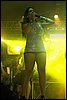 100_1075.JPG