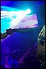 100_1118.JPG