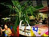 DSC02168.JPG