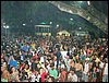 DSC02378.JPG