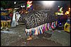 100_1442.JPG