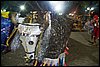 100_1444.JPG