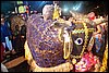 100_1478.JPG