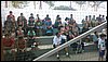 20170717_135011.jpg
