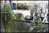 100_4583.JPG