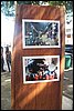 100_4713.JPG
