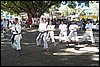 100_4801.JPG