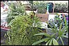 100_5151.JPG