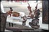 100_5190.JPG
