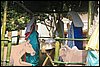 100_9329.JPG