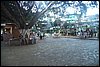 100_9387.JPG