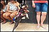 101_1991.JPG