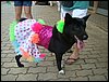 DSC04218.JPG