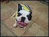 DSC04219.JPG