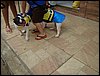DSC04220.JPG