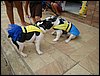 DSC04221.JPG