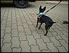 DSC04233.JPG