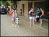 DSC04238.JPG