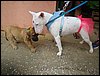 DSC04244.JPG