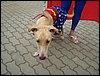 DSC04248.JPG