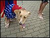 DSC04249.JPG