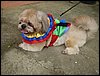 DSC04253.JPG