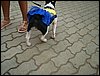 DSC04254.JPG