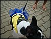 DSC04255.JPG