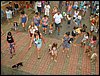 DSC04308.JPG