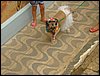 DSC04313.JPG
