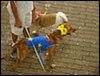 DSC04326.JPG