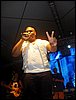 SDC16281.JPG
