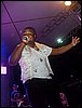 SDC16286.JPG