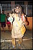 101_3084.JPG