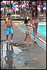 100_2755.JPG