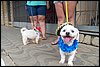 100_2613.JPG